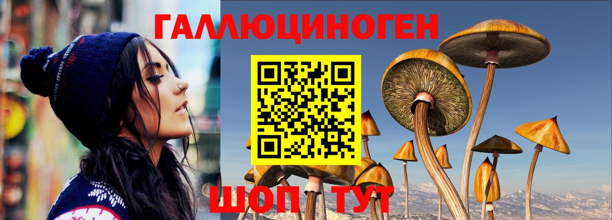 Псилоцибиновые грибы прущие грибы  Галлюциногенные грибы ЛСД  Заинск  Вход с VPN 
