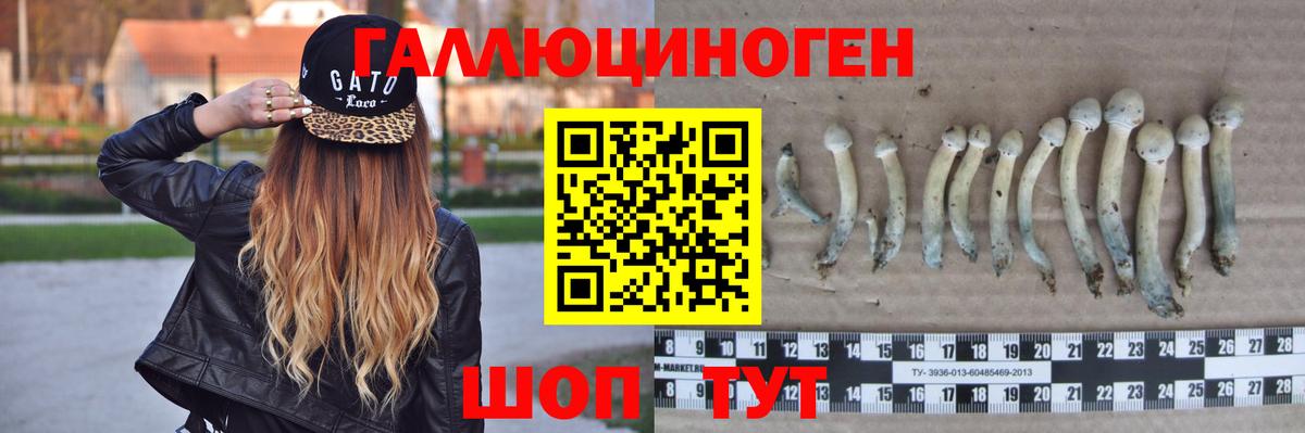 Галлюциногенные грибы MAGIC MUSHROOMS Заинск